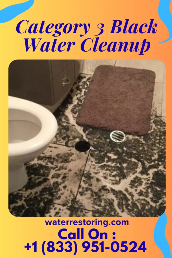 Category 3 Black Water Cleanup in New Rockford, ND